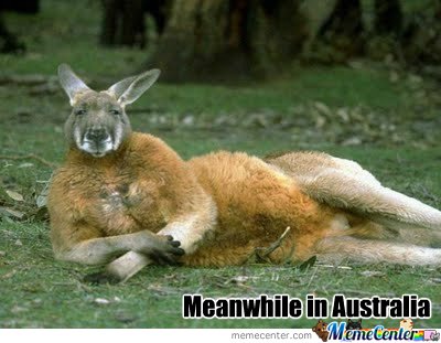 Meanwhile-in-Australia_o_136997