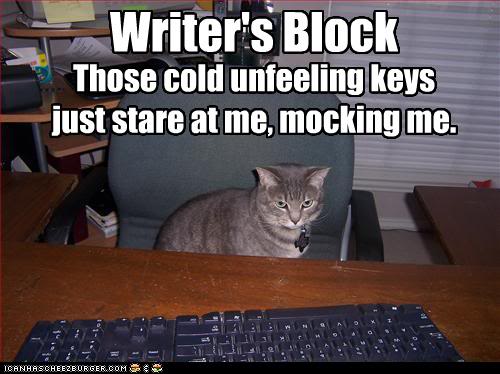 funny-pictures-cat-has-writers-bloc