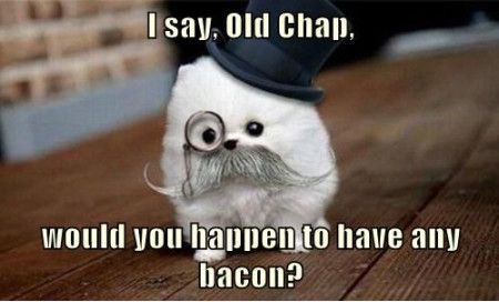 Funniest_Memes_i-say-old-chap-would-you-happen-to-have-any_5446