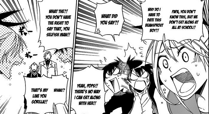 dimp_nisekoi_002_003