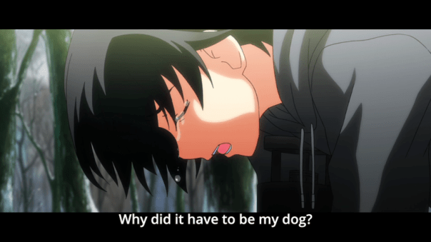 vlcsnap-2015-05-30-17h45m23s252