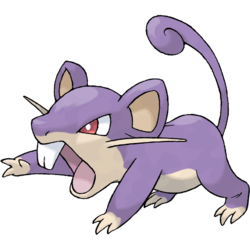 Rattata